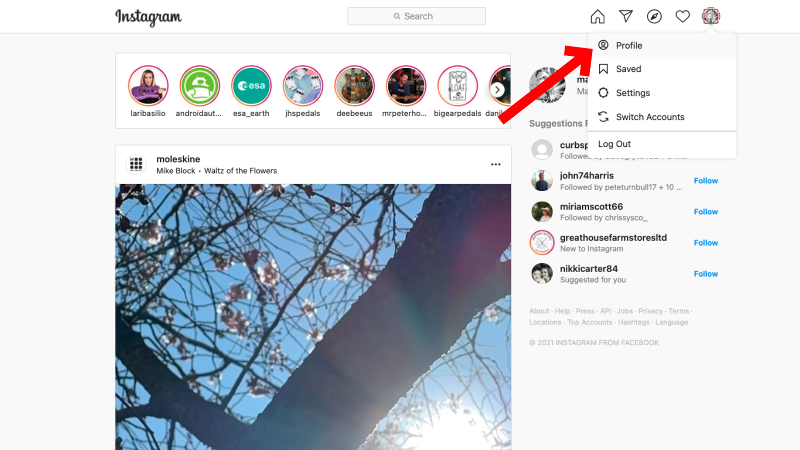 How to download instagram photos: Web profile
